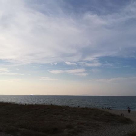 Buddi Hotel Platamona Dış mekan fotoğraf